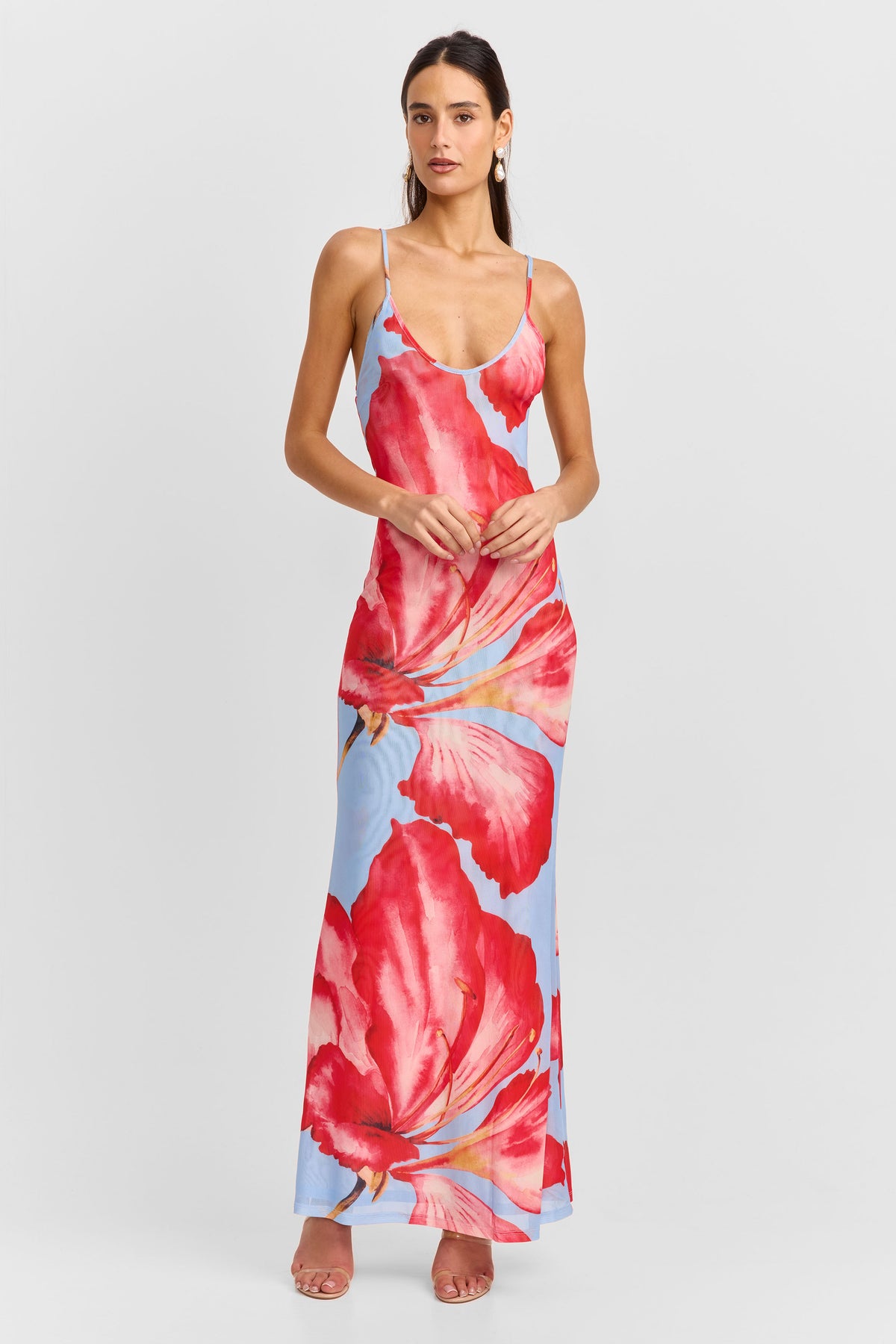 Vera Maxi Dress Blue Print