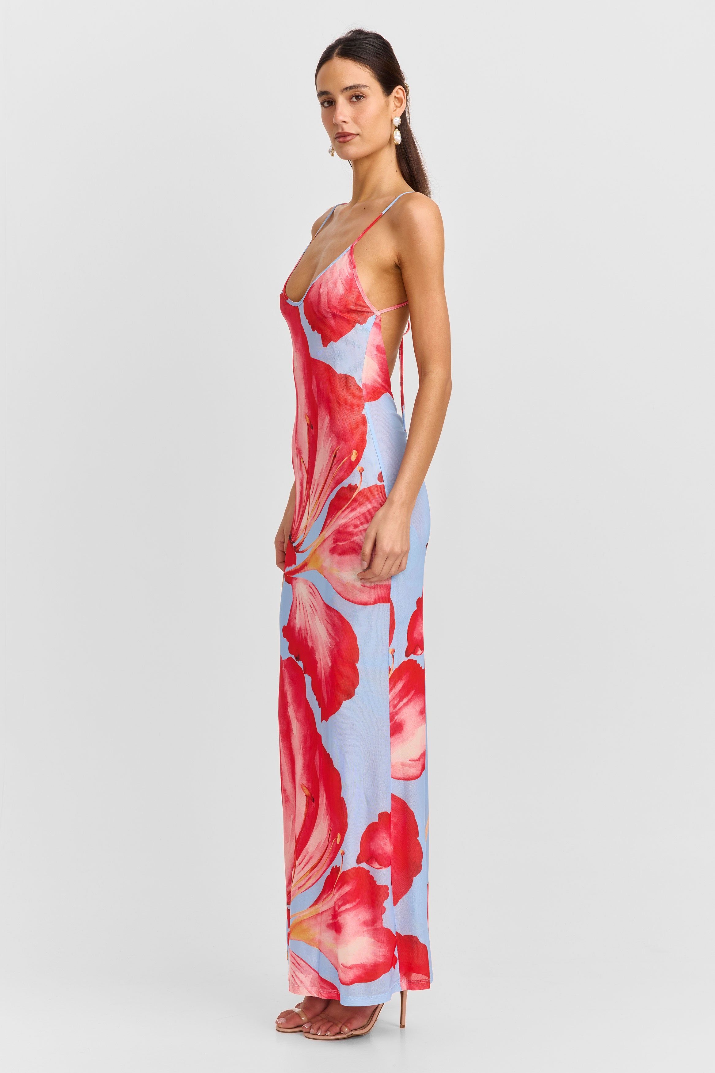 Vera Maxi Dress Blue Print