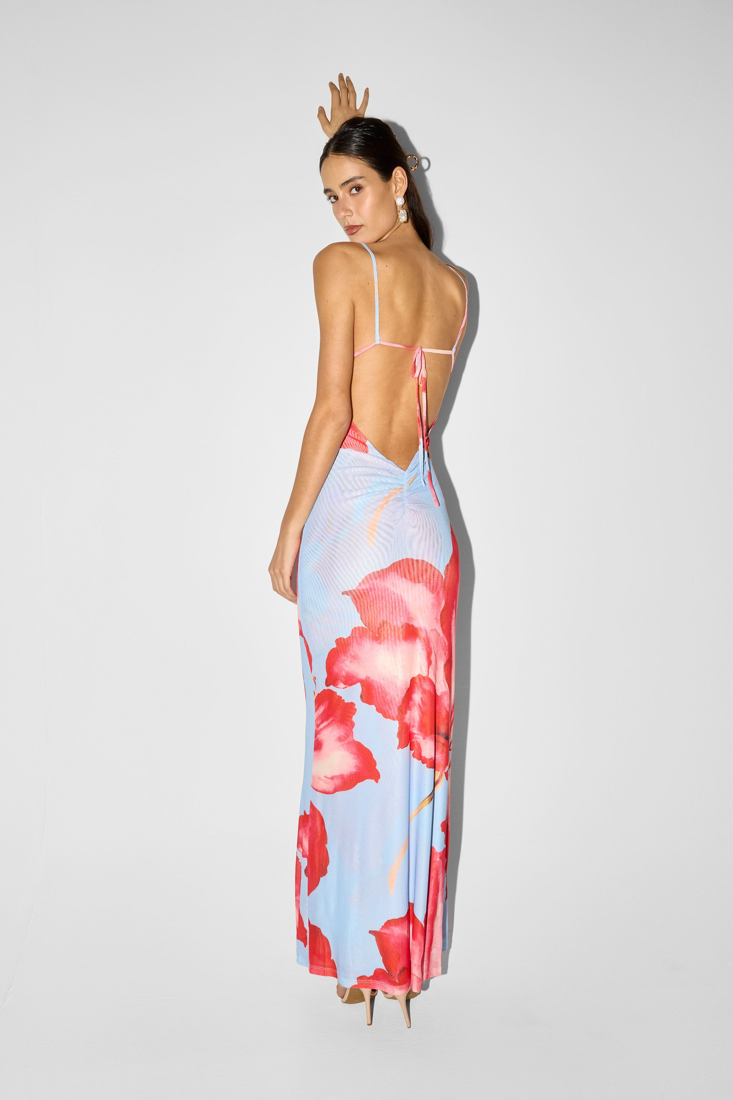 Vera Maxi Dress Blue Print